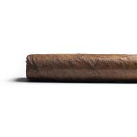 Brick House Short Torpedo Cigar - 1 Single